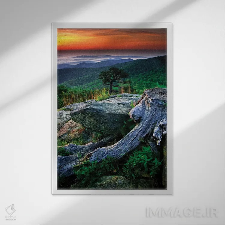 تابلو دکوراتیو Shenandoah National Park, Virginia, USA,طلوع بر فراز کوه های… اثر جی اوبراین - نمای قابدار سفید