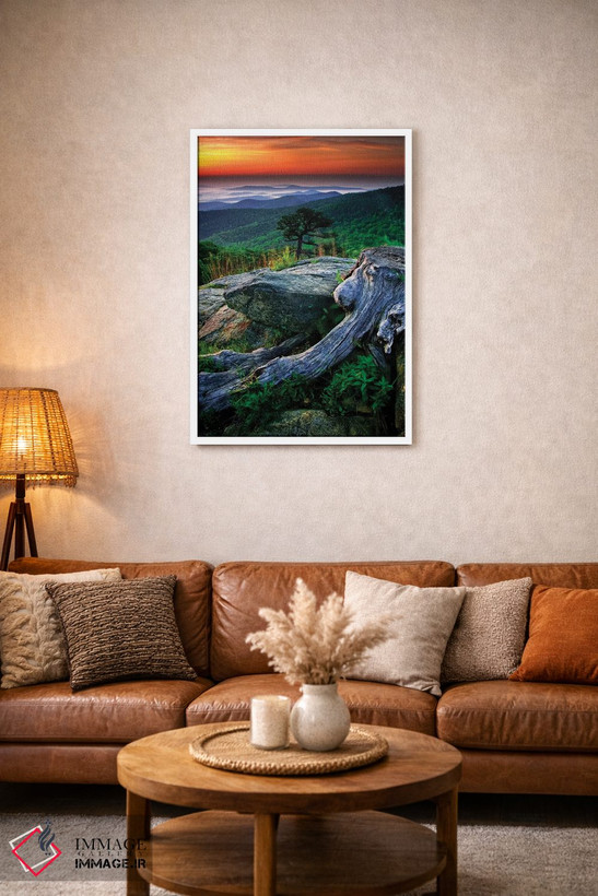تابلو دکوراتیو Shenandoah National Park, Virginia, USA,طلوع بر فراز کوه های… اثر جی اوبراین - D2W