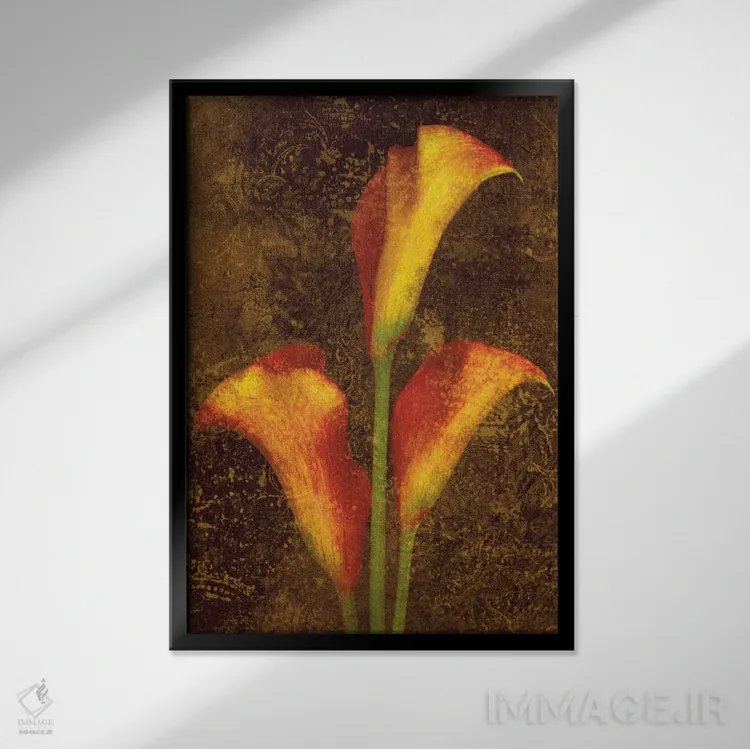 تابلو دکوراتیو کالاس اثر جان سبا - نمای قابدار مشکی