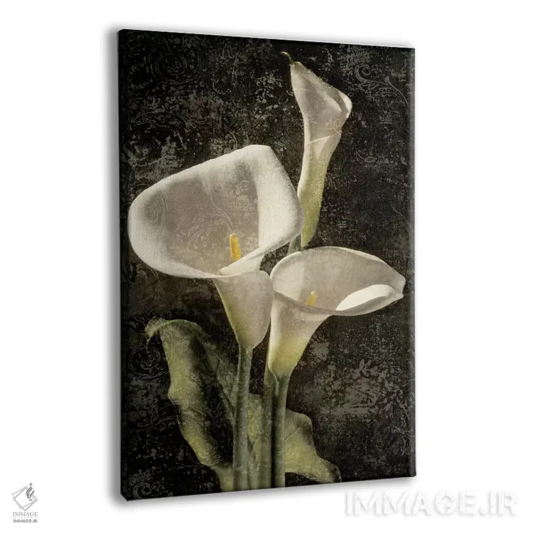 تابلو دکوراتیو کالاس I اثر جان سبا - نمای پرسپکتیو محصول