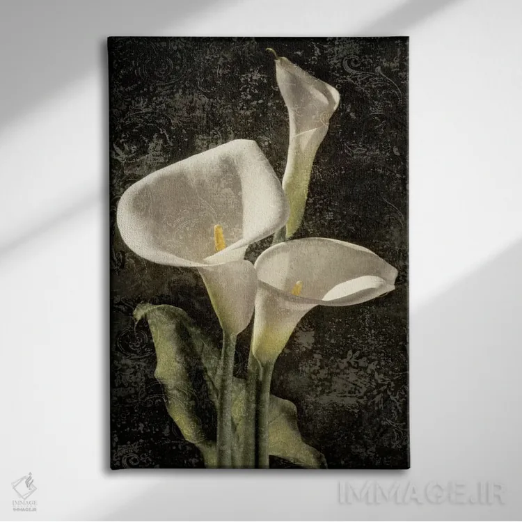 تابلو دکوراتیو کالاس I اثر جان سبا - نمای روبهرو روی دیوار