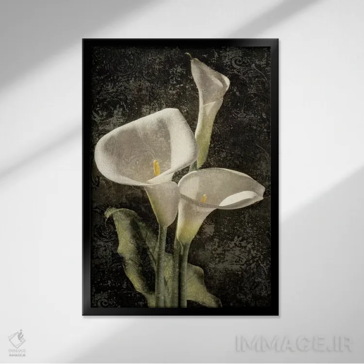 تابلو دکوراتیو کالاس I اثر جان سبا - نمای قابدار مشکی