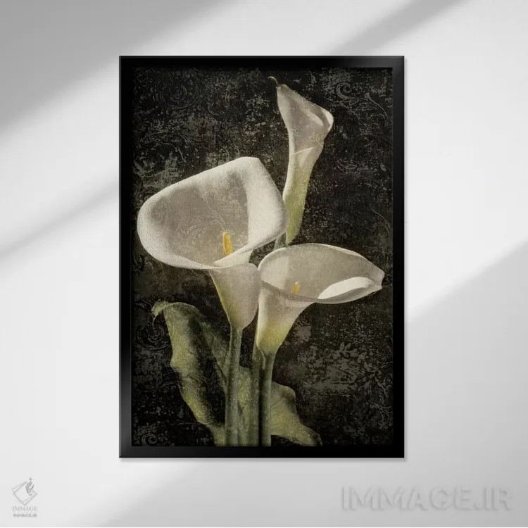 تابلو دکوراتیو کالاس I اثر جان سبا - نمای قابدار مشکی