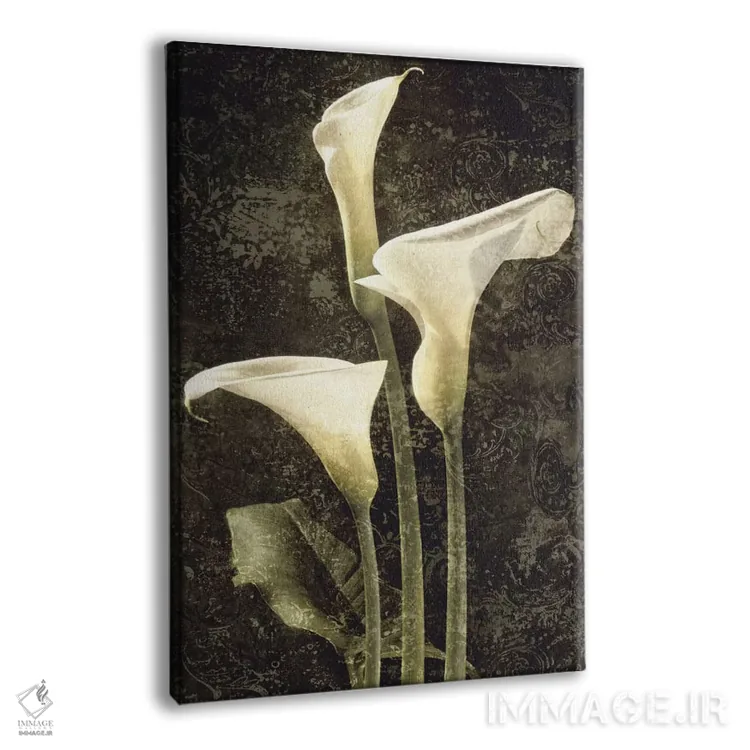 تابلو دکوراتیو کالاس II اثر جان سبا - نمای پرسپکتیو محصول