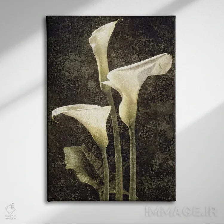 تابلو دکوراتیو کالاس II اثر جان سبا - نمای روبهرو روی دیوار