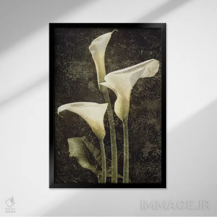 تابلو دکوراتیو کالاس II اثر جان سبا - نمای قابدار مشکی