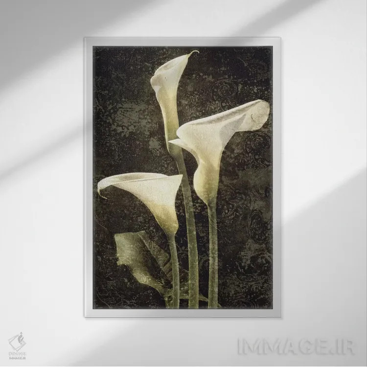 تابلو دکوراتیو کالاس II اثر جان سبا - نمای قابدار سفید