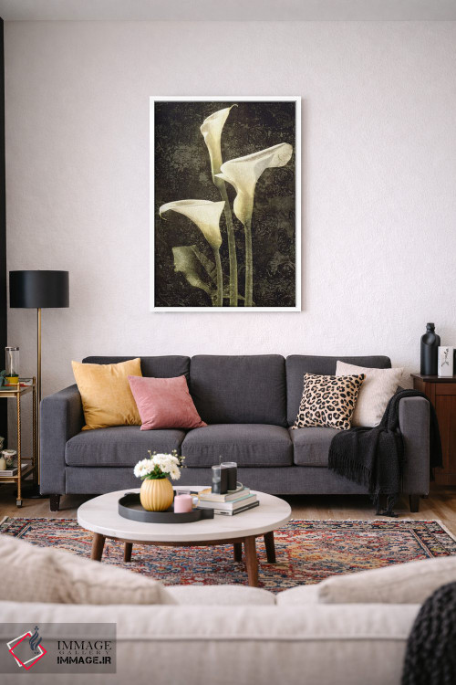 تابلو دکوراتیو کالاس II اثر جان سبا - D3W