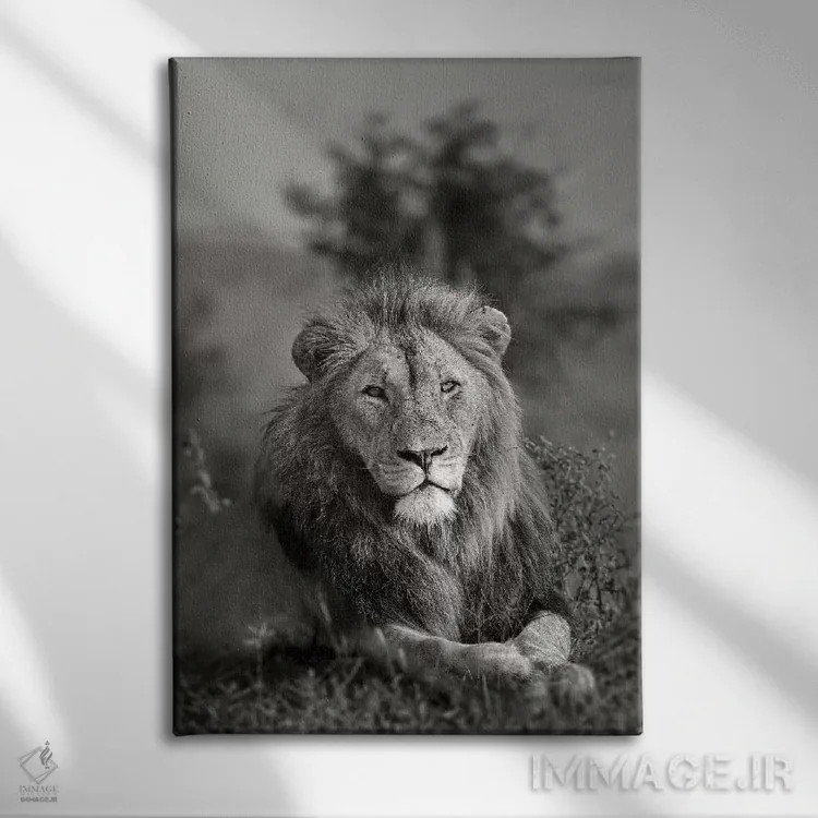 تابلو دکوراتیو پادشاه اثر اندرز یورولف - نمای روبهرو روی دیوار