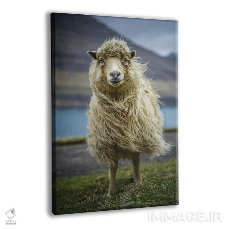 تابلو دکوراتیو گوسفند اثر اندرز یورولف - نمای پرسپکتیو محصول