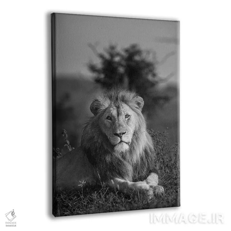 تابلو دکوراتیو شاه شیر اثر اندرز یورولف - نمای پرسپکتیو محصول