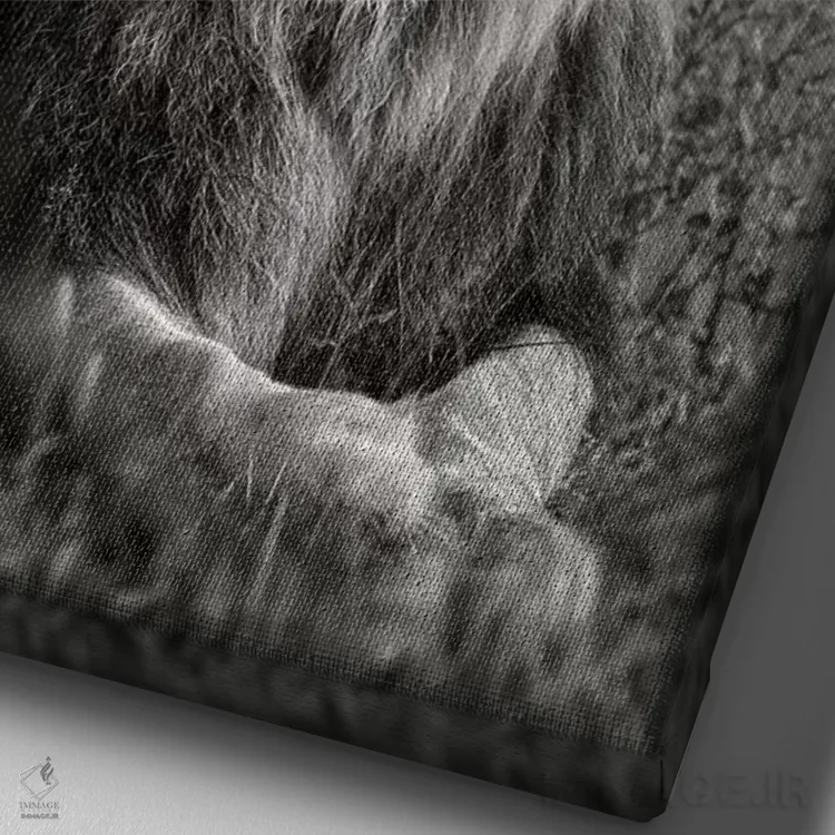 تابلو دکوراتیو پادشاه اثر اندرز یورولف - نمای نزدیک بافت بوم