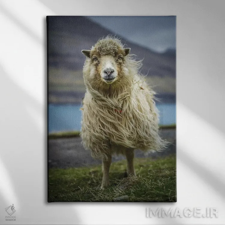 تابلو دکوراتیو گوسفند اثر اندرز یورولف - نمای روبهرو روی دیوار
