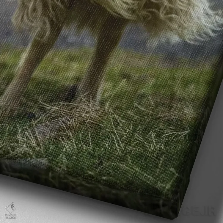 تابلو دکوراتیو گوسفند اثر اندرز یورولف - نمای نزدیک بافت بوم