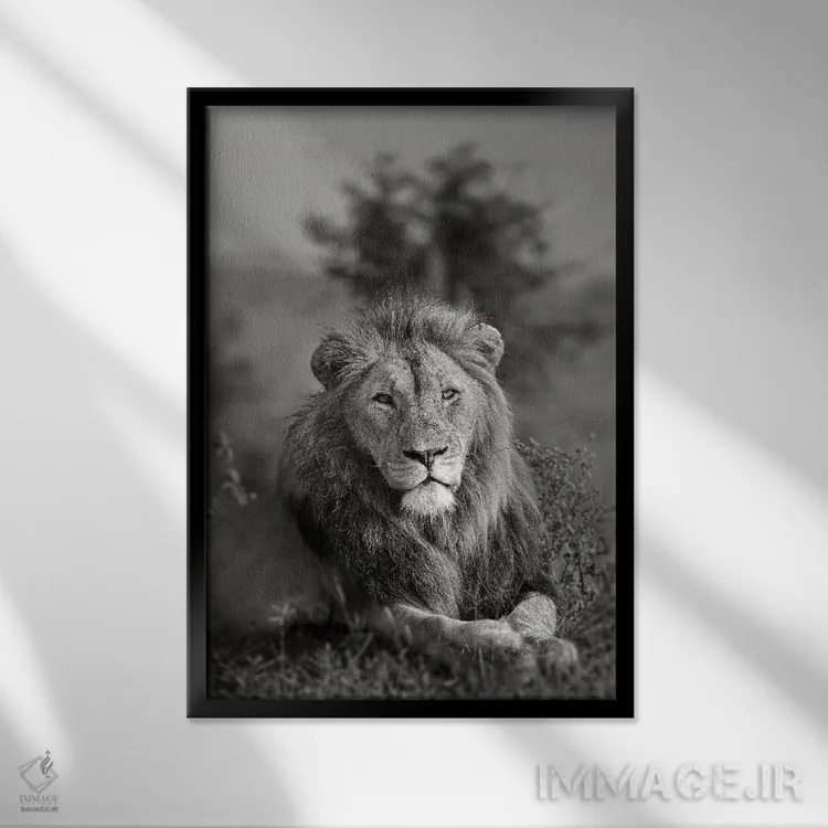 تابلو دکوراتیو پادشاه اثر اندرز یورولف - نمای قابدار مشکی