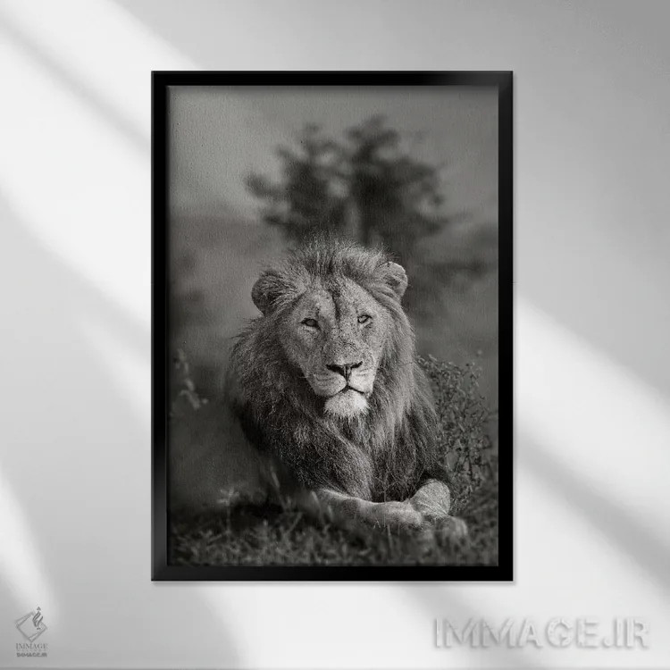 تابلو دکوراتیو پادشاه اثر اندرز یورولف - نمای قابدار مشکی