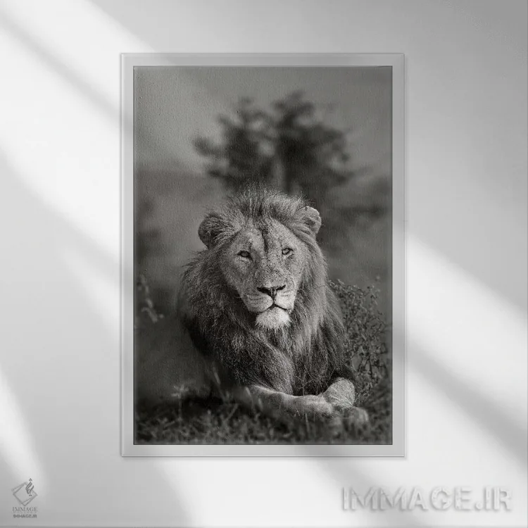 تابلو دکوراتیو پادشاه اثر اندرز یورولف - نمای قابدار سفید