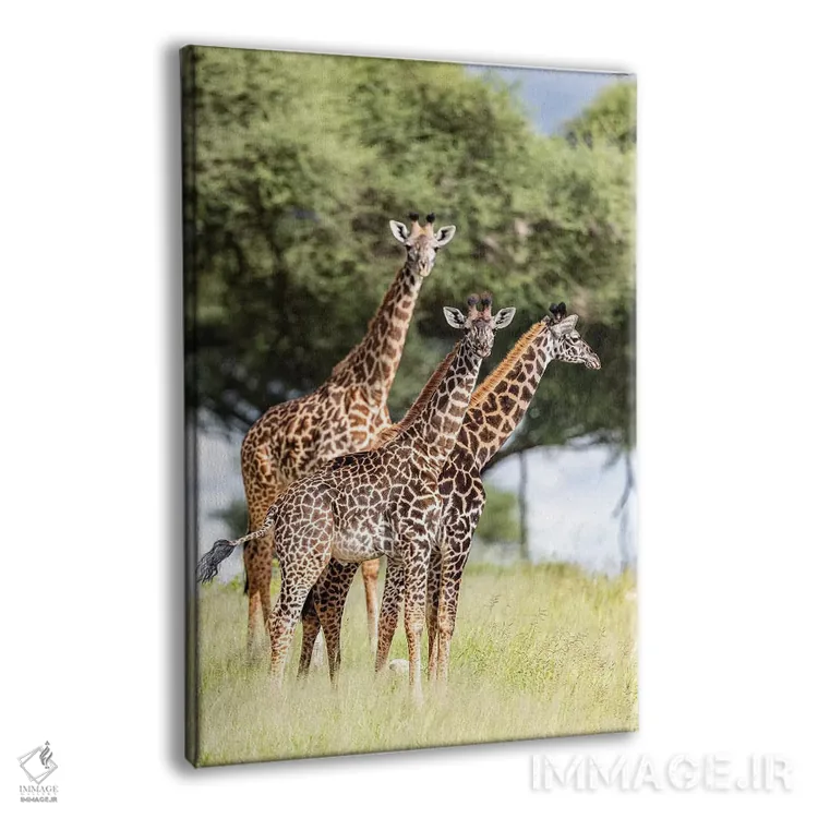 تابلو دکوراتیو کجایی؟ اثر اندرز یورولف - نمای پرسپکتیو محصول