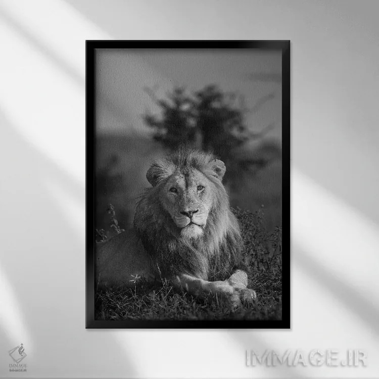 تابلو دکوراتیو شاه شیر اثر اندرز یورولف - نمای قابدار مشکی