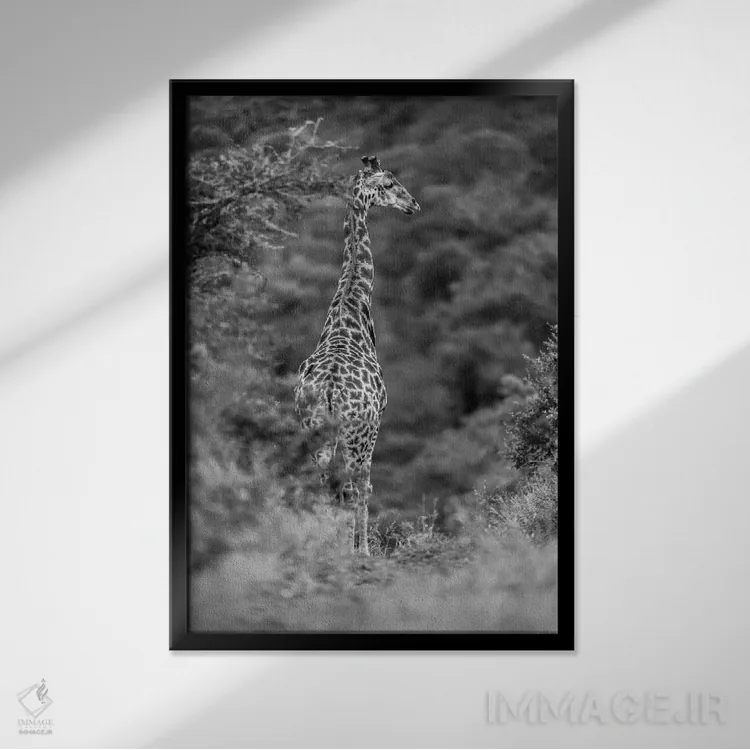 تابلو دکوراتیو زرافه جوان اثر اندرز یورولف - نمای قابدار مشکی