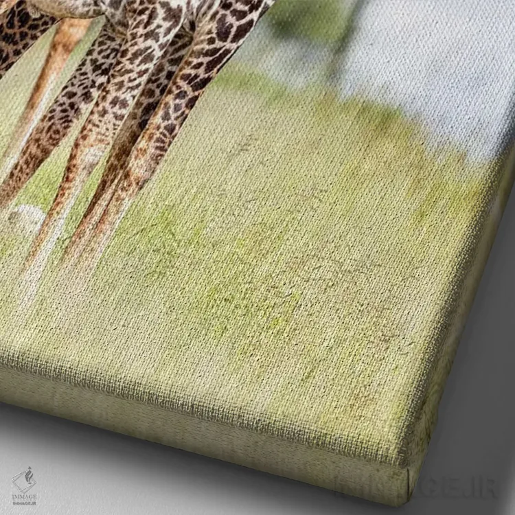 تابلو دکوراتیو کجایی؟ اثر اندرز یورولف - نمای نزدیک بافت بوم