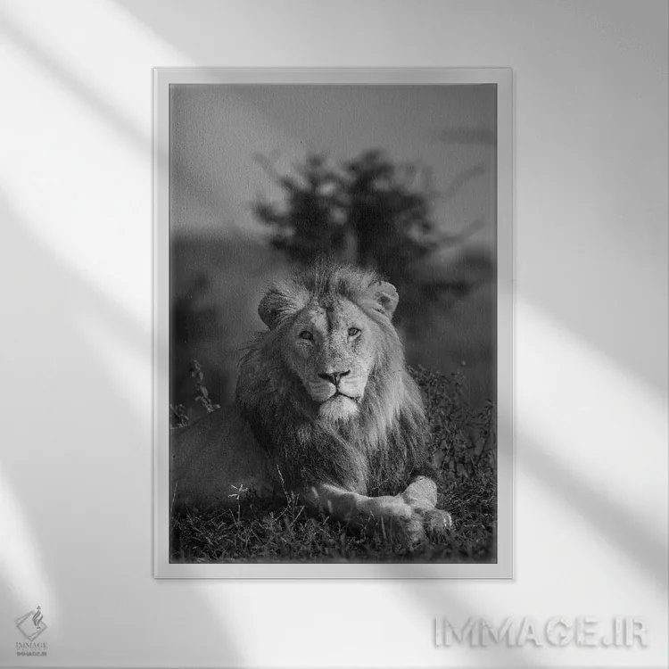 تابلو دکوراتیو شاه شیر اثر اندرز یورولف - نمای قابدار سفید