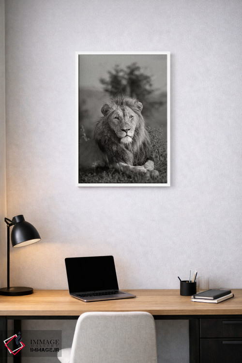 تابلو دکوراتیو پادشاه اثر اندرز یورولف - D1W