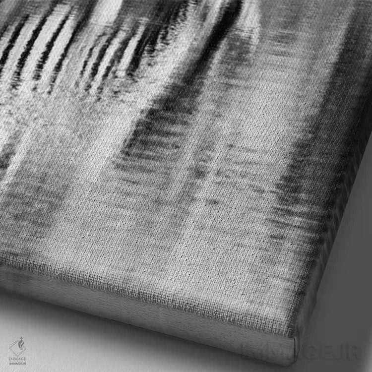 تابلو دکوراتیو گورخر کنار آب اثر اندرز یورولف - نمای نزدیک بافت بوم