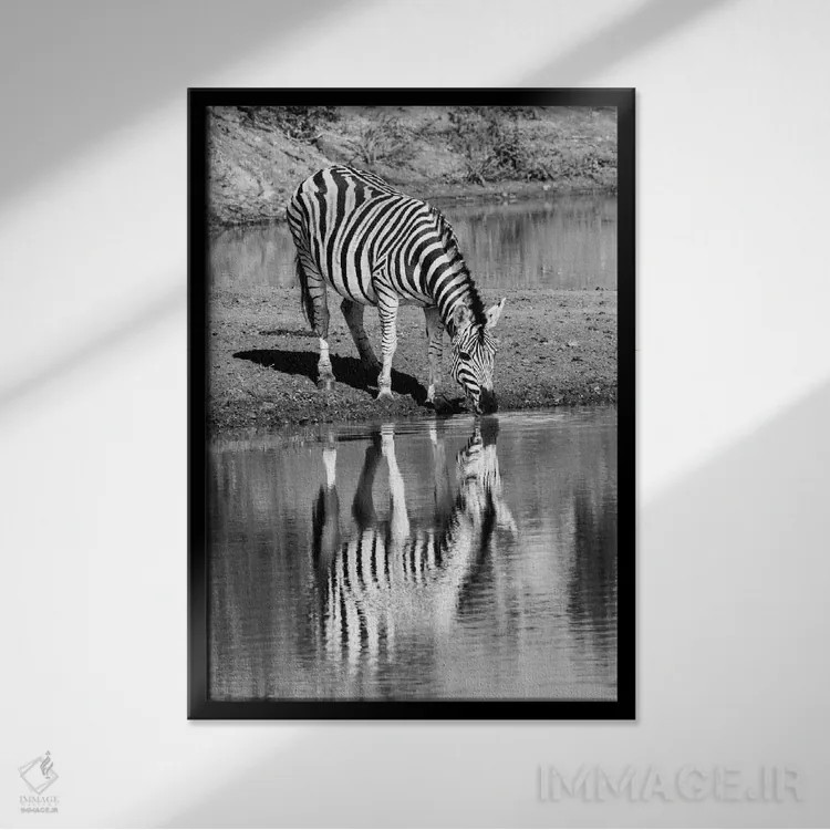 تابلو دکوراتیو گورخر کنار آب اثر اندرز یورولف - نمای قابدار مشکی