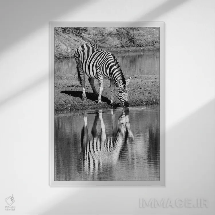 تابلو دکوراتیو گورخر کنار آب اثر اندرز یورولف - نمای قابدار سفید