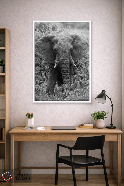 تابلو دکوراتیو فیل در بیشه اثر اندرز یورولف - D1W