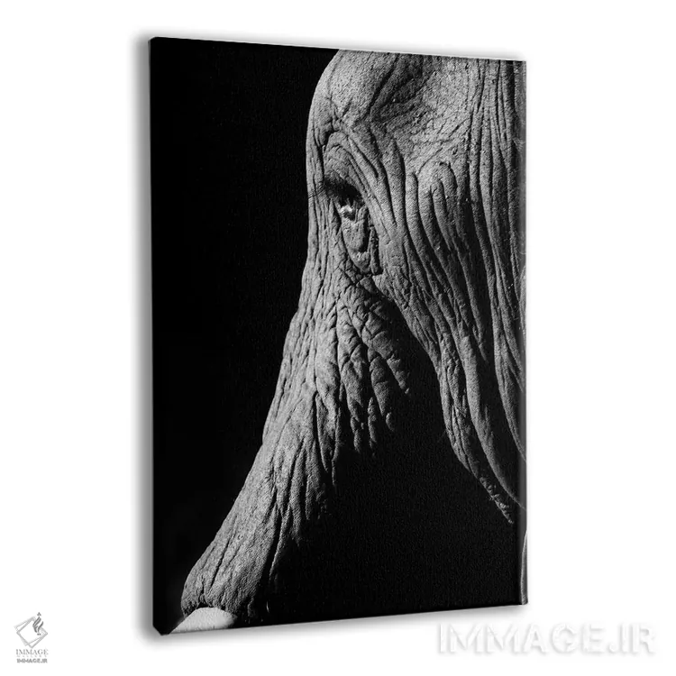 تابلو دکوراتیو فیل اثر اندرز یورولف - نمای پرسپکتیو محصول