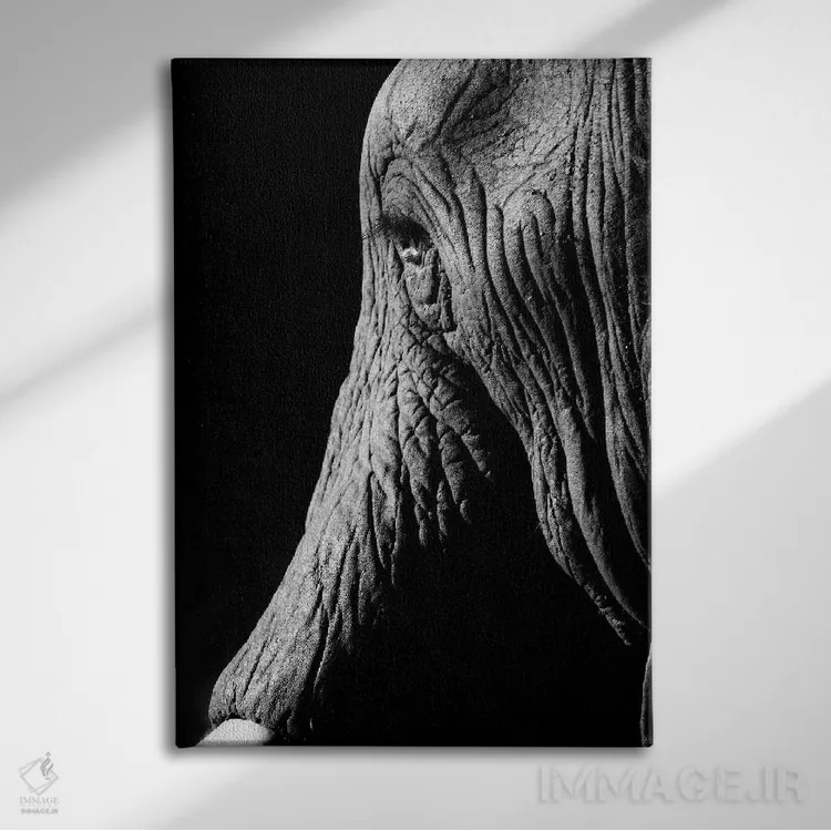 تابلو دکوراتیو فیل اثر اندرز یورولف - نمای روبهرو روی دیوار