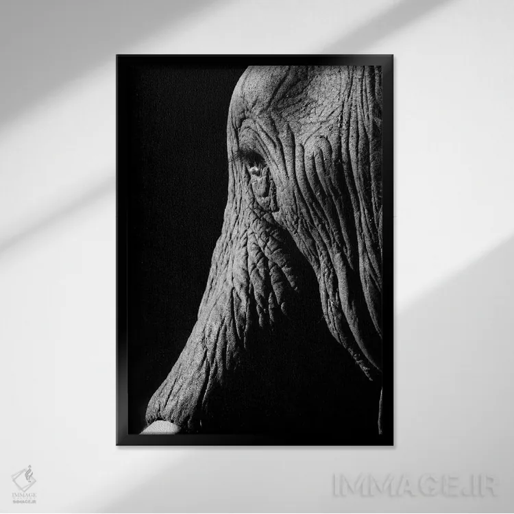 تابلو دکوراتیو فیل اثر اندرز یورولف - نمای قابدار مشکی