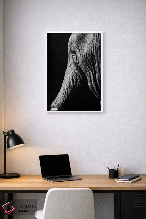 تابلو دکوراتیو فیل اثر اندرز یورولف - D1W