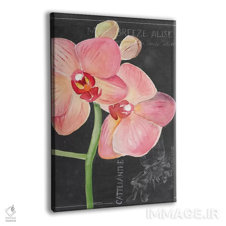 تابلو دکوراتیو گل گچی شماره یک اثر جنیفر پکستون پارکر - نمای پرسپکتیو محصول