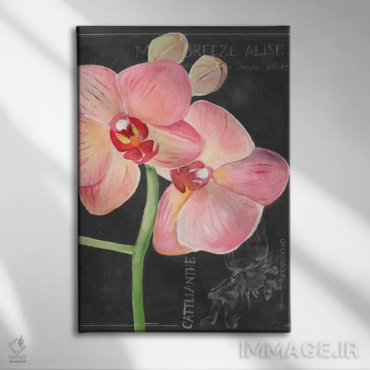 تابلو دکوراتیو گل گچی شماره یک اثر جنیفر پکستون پارکر - نمای روبهرو روی دیوار