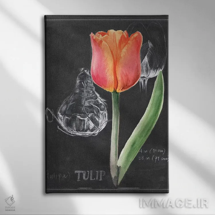 تابلو دکوراتیو گل گچی شماره سه اثر جنیفر پکستون پارکر - نمای روبهرو روی دیوار