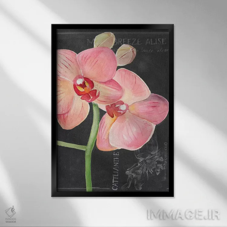 تابلو دکوراتیو گل گچی شماره یک اثر جنیفر پکستون پارکر - نمای قابدار مشکی