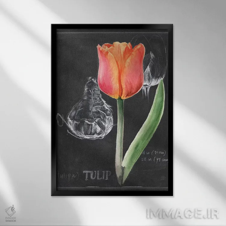 تابلو دکوراتیو گل گچی شماره سه اثر جنیفر پکستون پارکر - نمای قابدار مشکی