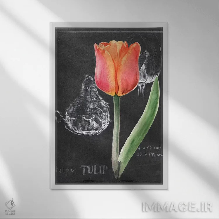 تابلو دکوراتیو گل گچی شماره سه اثر جنیفر پکستون پارکر - نمای قابدار سفید