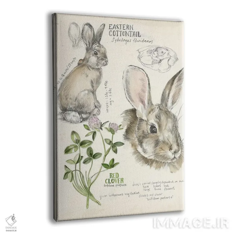 تابلو دکوراتیو دفترچه حیات وحش دو اثر جنیفر پکستون پارکر - نمای پرسپکتیو محصول