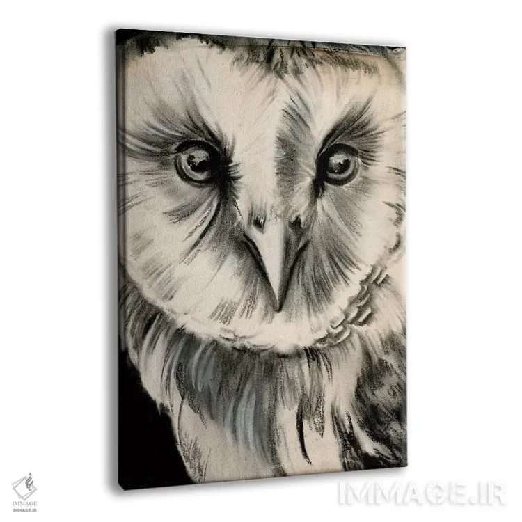 تابلو دکوراتیو جغد زغالی دو اثر جنیفر پکستون پارکر - نمای پرسپکتیو محصول