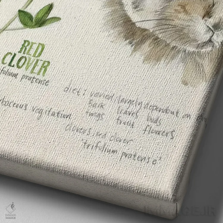 تابلو دکوراتیو دفترچه حیات وحش دو اثر جنیفر پکستون پارکر - نمای نزدیک بافت بوم