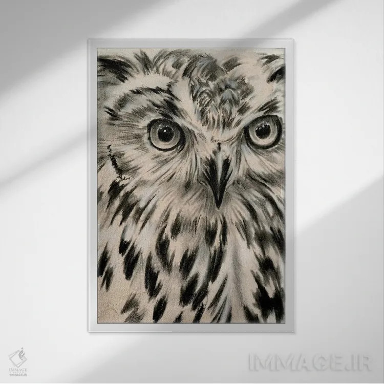 تابلو دکوراتیو جغد زغالی یک اثر جنیفر پکستون پارکر - نمای قابدار سفید