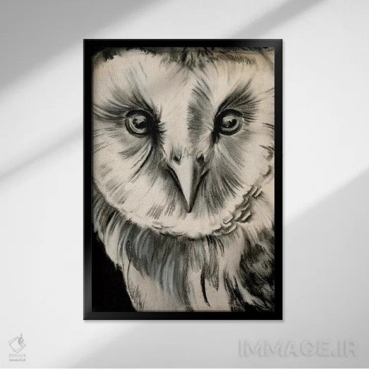 تابلو دکوراتیو جغد زغالی دو اثر جنیفر پکستون پارکر - نمای قابدار مشکی