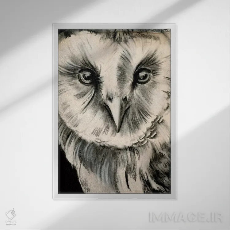 تابلو دکوراتیو جغد زغالی دو اثر جنیفر پکستون پارکر - نمای قابدار سفید