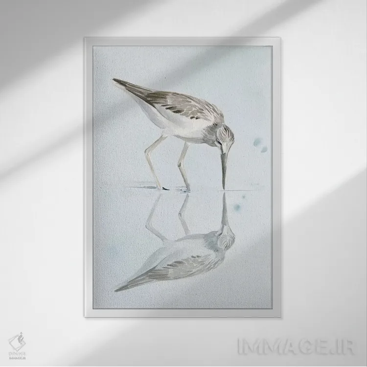 تابلو دکوراتیو انعکاس پرنده شنزار یک اثر جنیفر پکستون پارکر - نمای قابدار سفید