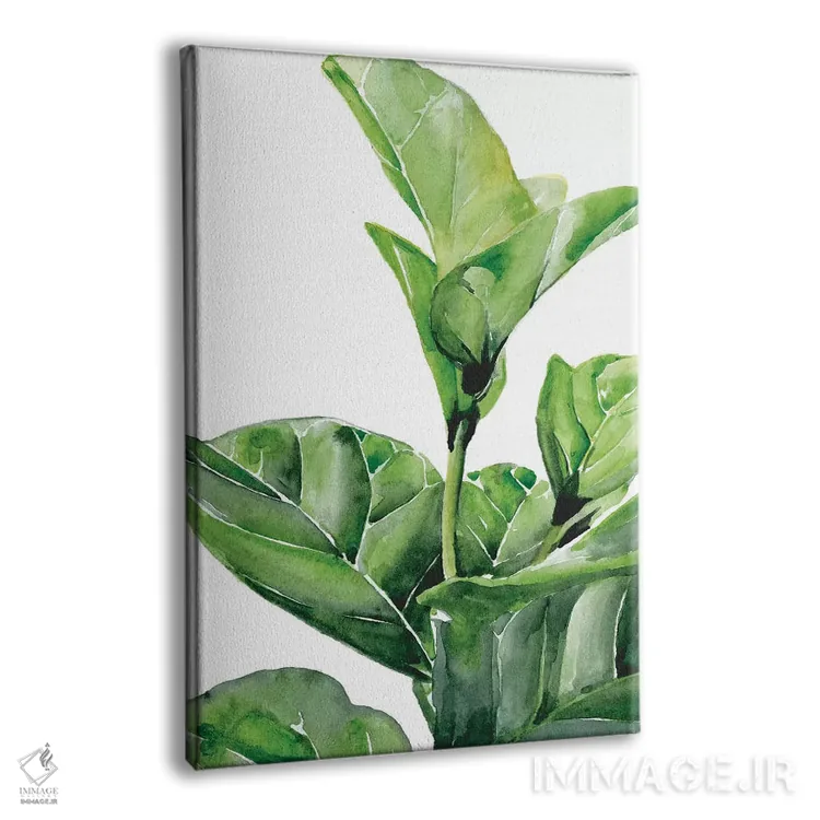 تابلو دکوراتیو انجیر فیدل ۱ اثر جنیفر پکستون پارکر - نمای پرسپکتیو محصول