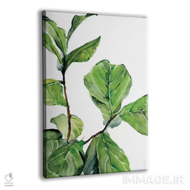 تابلو دکوراتیو انجیر فیدل ۲ اثر جنیفر پکستون پارکر - نمای پرسپکتیو محصول